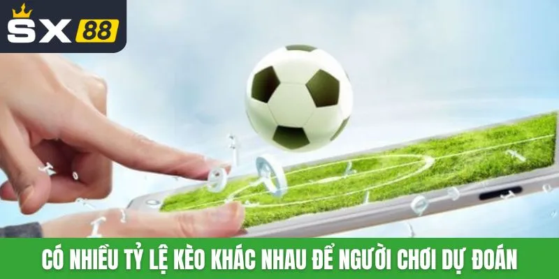 Có nhiều tỷ lệ kèo khác nhau để người chơi dự đoán