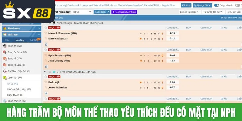 Hàng trăm bộ môn thể thao yêu thích đều có mặt tại NPH