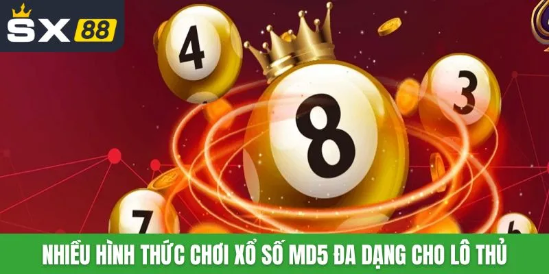 Nhiều hình thức chơi xổ số MD5 đa dạng cho lô thủ