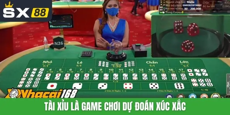 Tài xỉu là game chơi dự đoán xúc xắc